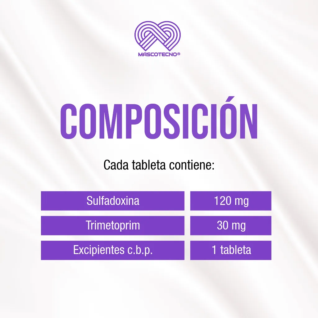 GORBAZOO_10TABS_04.webp