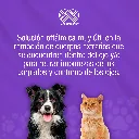 BRILLOCLEANEYES_120ML_01.webp