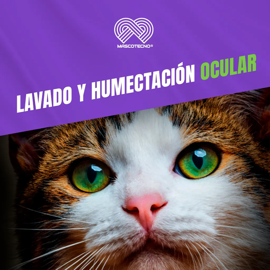 BRILLOCLEANEYES_120ML_05.webp