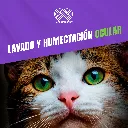 BRILLOCLEANEYES_120ML_05.webp