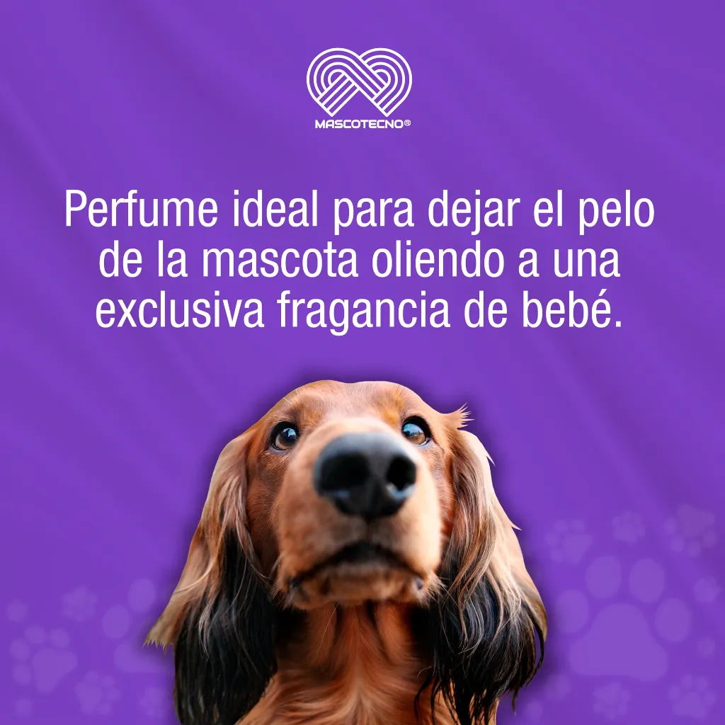 PERFUME_CANAMOR_CANONO_120ML_01.webp