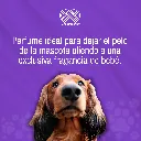 PERFUME_CANAMOR_CANONO_120ML_01.webp