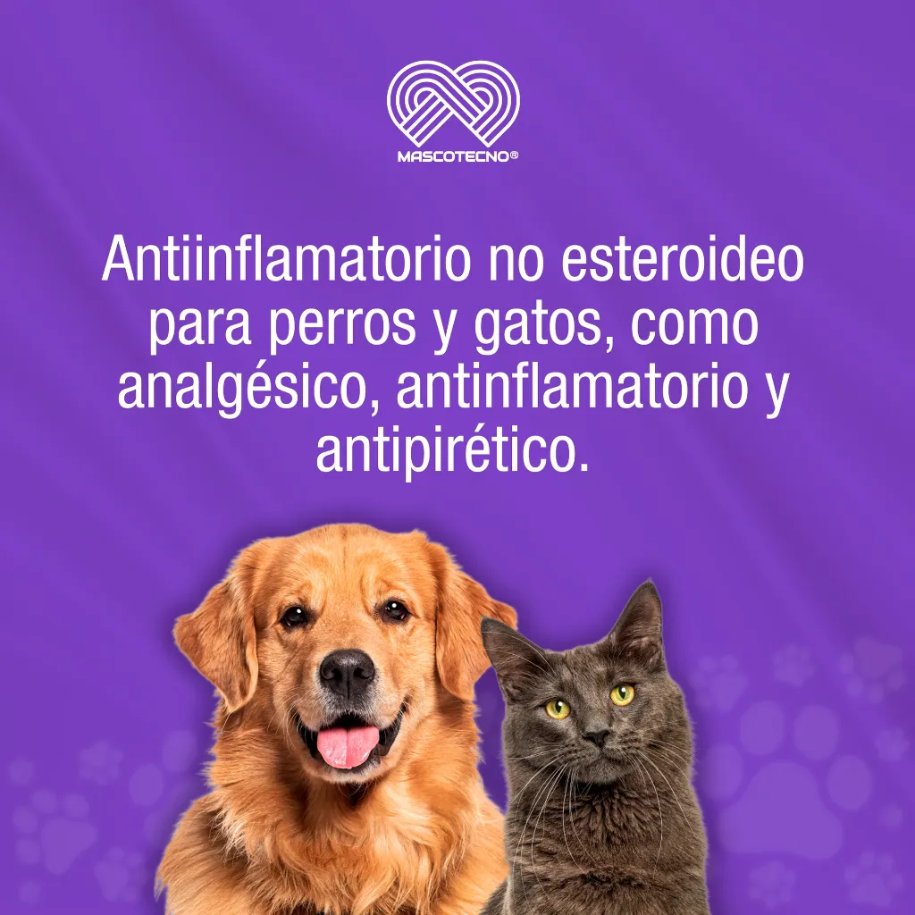 SPLEND_MELOXICAN_30ML_01.webp