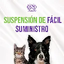 SPLEND_DOG_5ML_04.webp