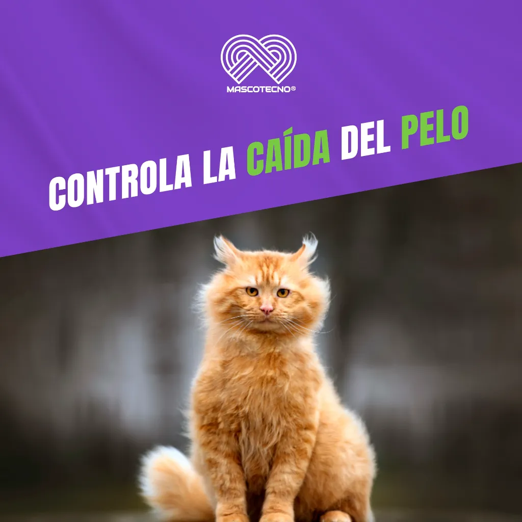 MIRRAPEL_GATOS_120ML_05.webp