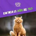 MIRRAPEL_GATOS_120ML_05.webp