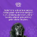 MIRRAPEL_SENIOR_120ML_01.webp