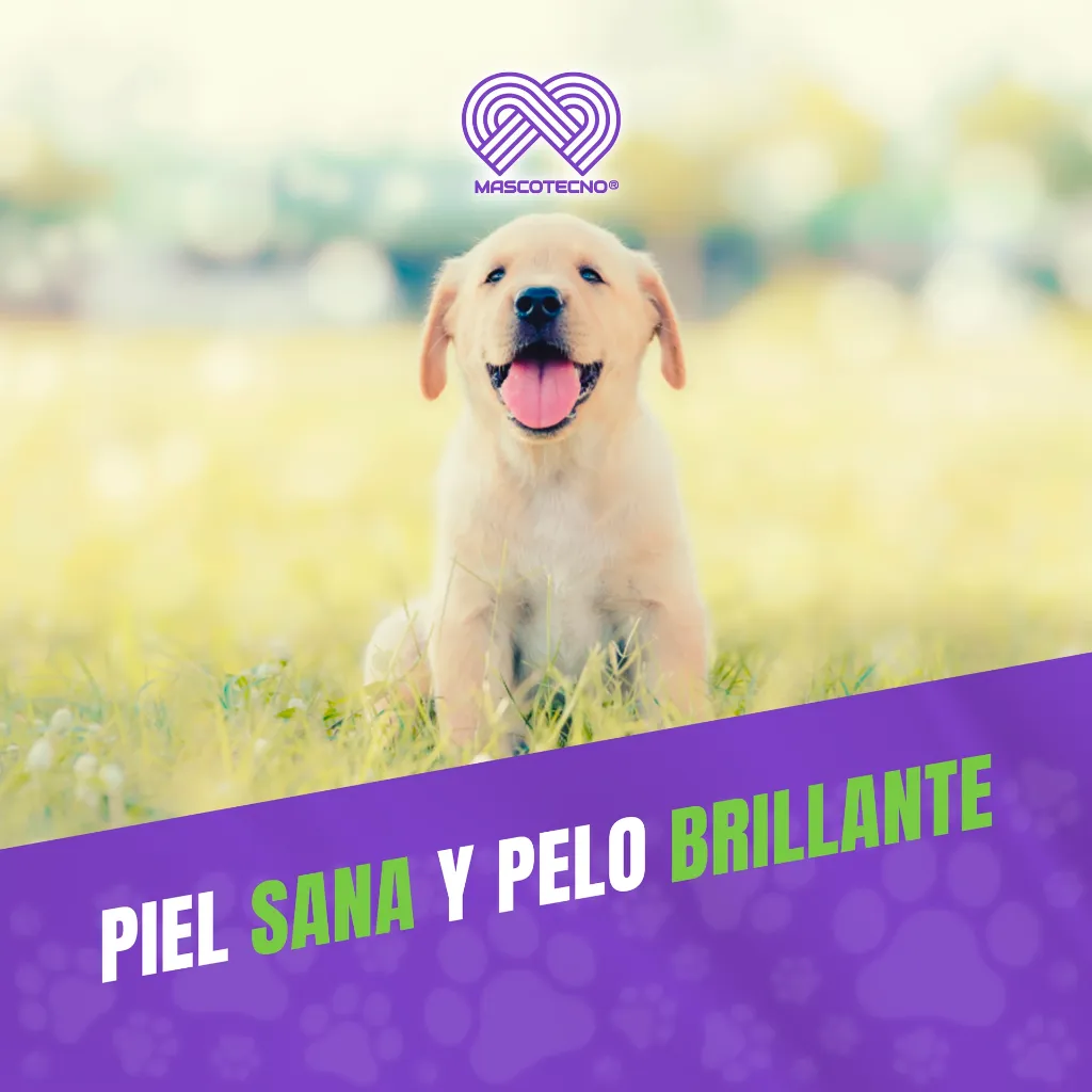 MIRRAPEL_CACHORROS_120ML_05.webp