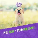 MIRRAPEL_CACHORROS_120ML_05.webp