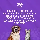 ALZER_150ML_01.webp