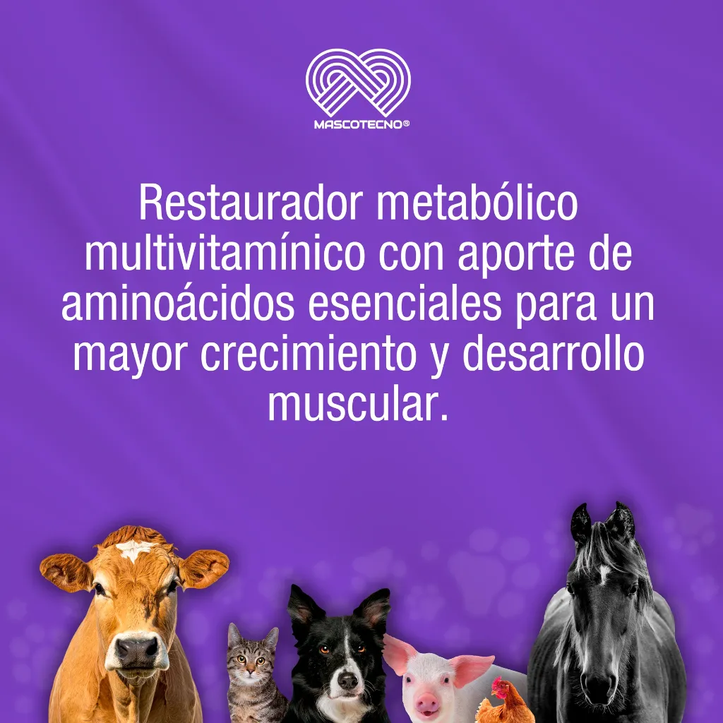 MODERGANNF_100ML_01.webp
