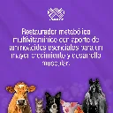 MODERGANNF_100ML_01.webp