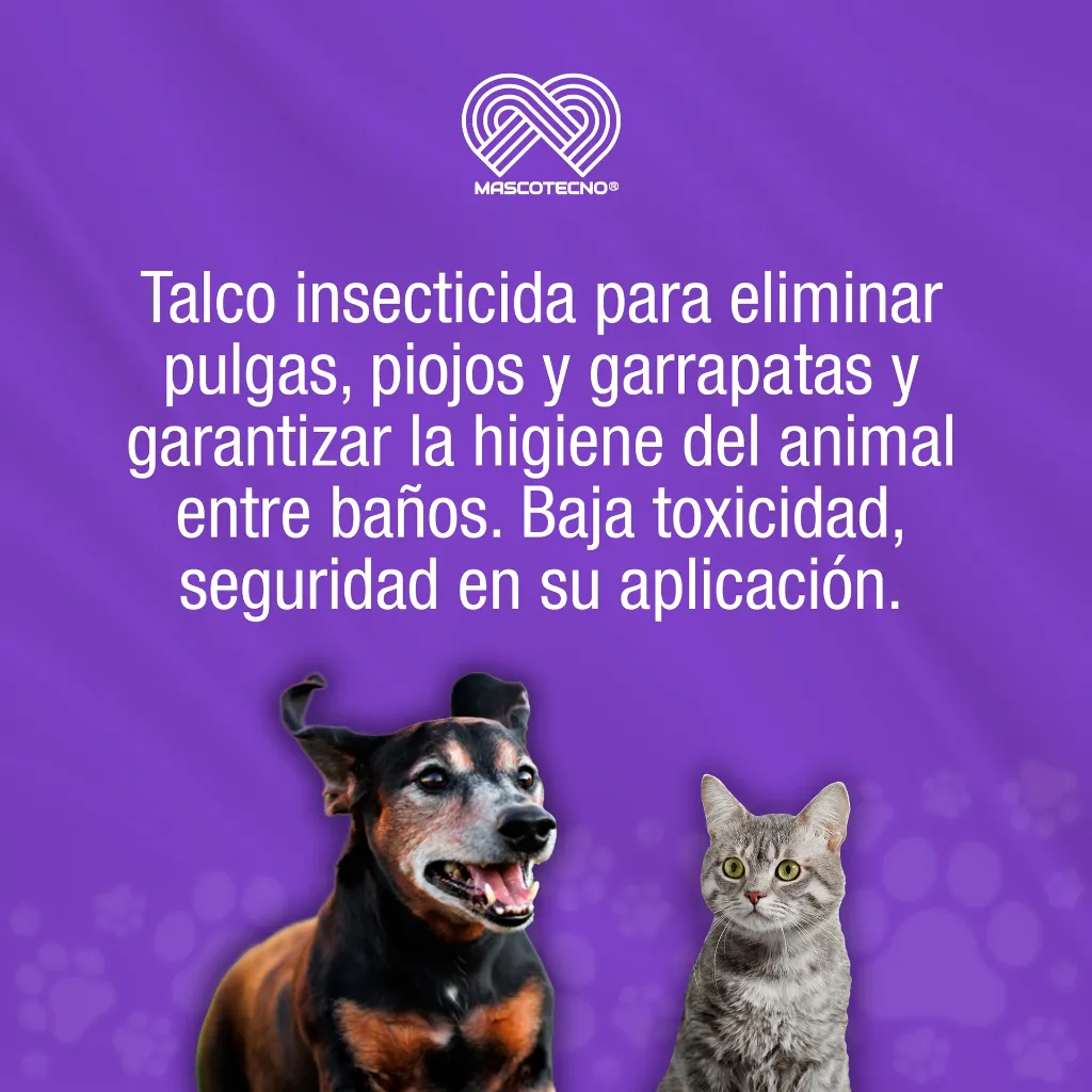 TALCO_INSECTICIDA_CANAMOR_100G_01.webp