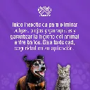 TALCO_INSECTICIDA_CANAMOR_100G_01.webp