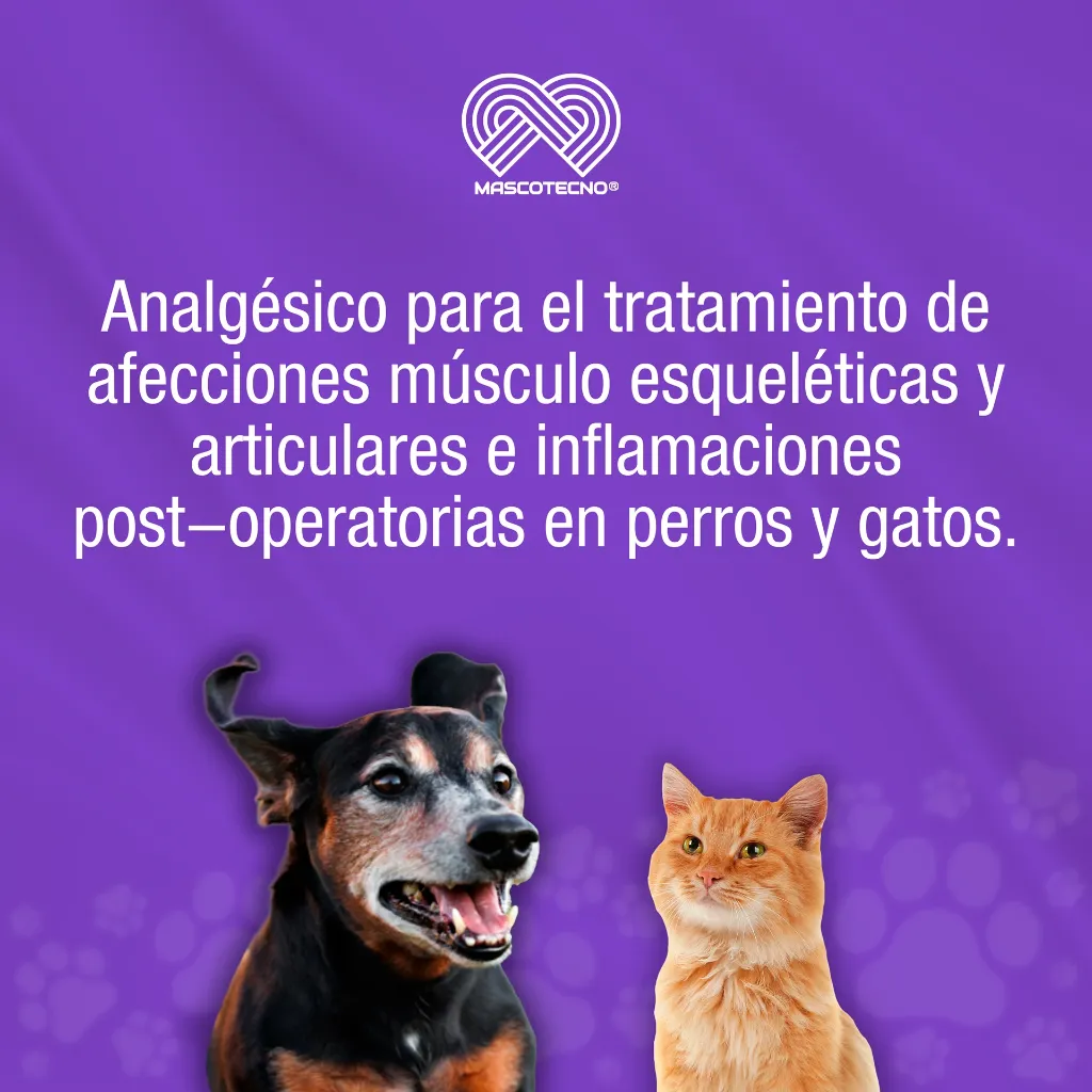 DOLOMEX_PET_25ML_01.webp