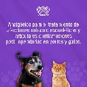 DOLOMEX_PET_25ML_01.webp