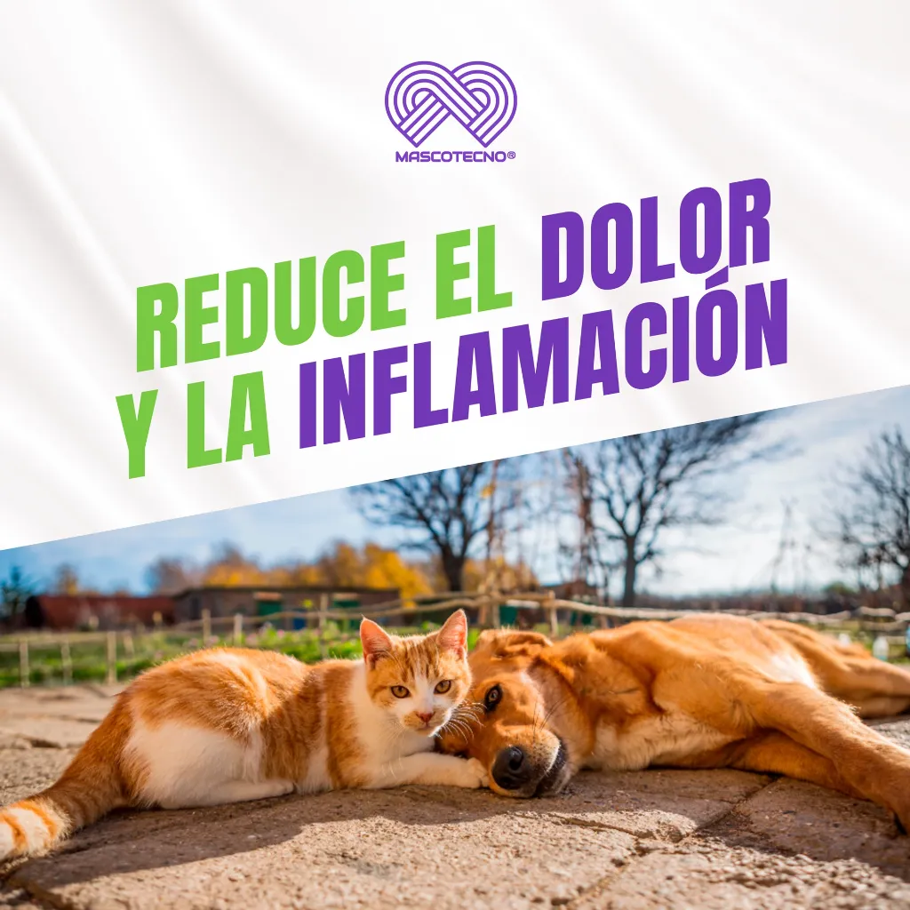 DOLOMEX_PET_25ML_04.webp