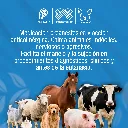 ATROPINA_ZOO_INY_50ML_01.webp