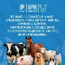 ATROPINA_ZOO_INY_10ML_01.webp