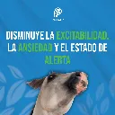 ATROPINA_ZOO_INY_10ML_05.webp