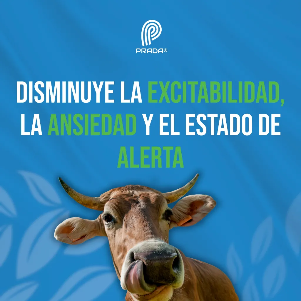 ATROPINA_ZOO_INY_50ML_05.webp