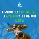 ATROPINA_ZOO_INY_50ML_05.webp