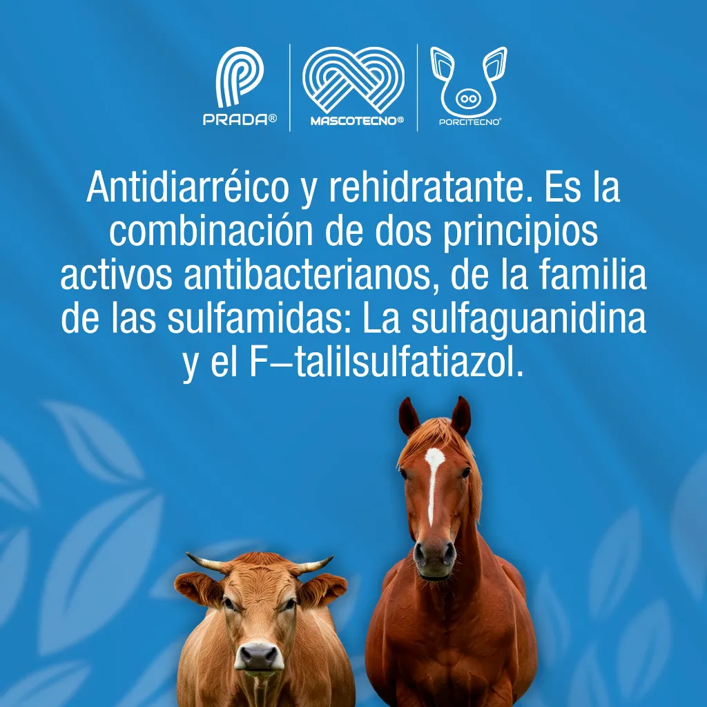 ZOODIAR_NF_10GR_01.webp