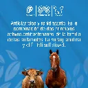 ZOODIAR_NF_10GR_01.webp