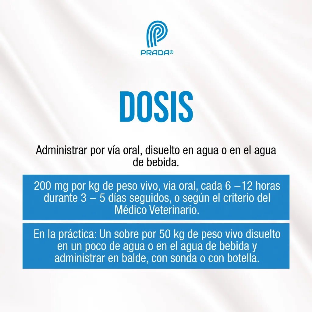 ZOODIAR_NF_10GR_03.webp