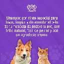 SHAMPOO_CANAMOR_RINSE_230ML_01.webp