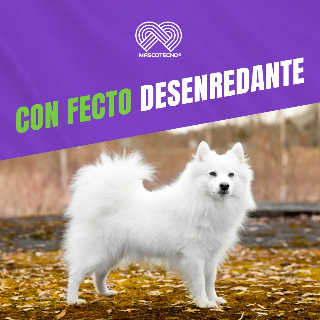 SHAMPOO_CANAMOR_RINSE_230ML_05.webp