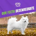 SHAMPOO_CANAMOR_RINSE_230ML_05.webp