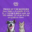 SHAMPOO_CANAMOR_RINSE_30ML_01.webp