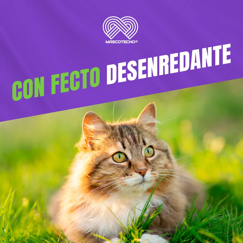 SHAMPOO_CANAMOR_RINSE_30ML_05.webp