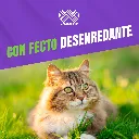 SHAMPOO_CANAMOR_RINSE_30ML_05.webp