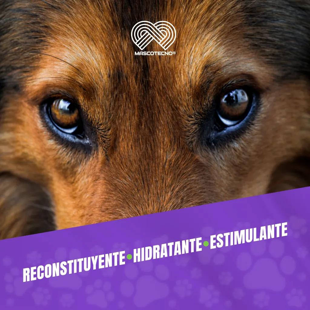 EPITELIZANTE_OCULAR_3.5G_05.webp