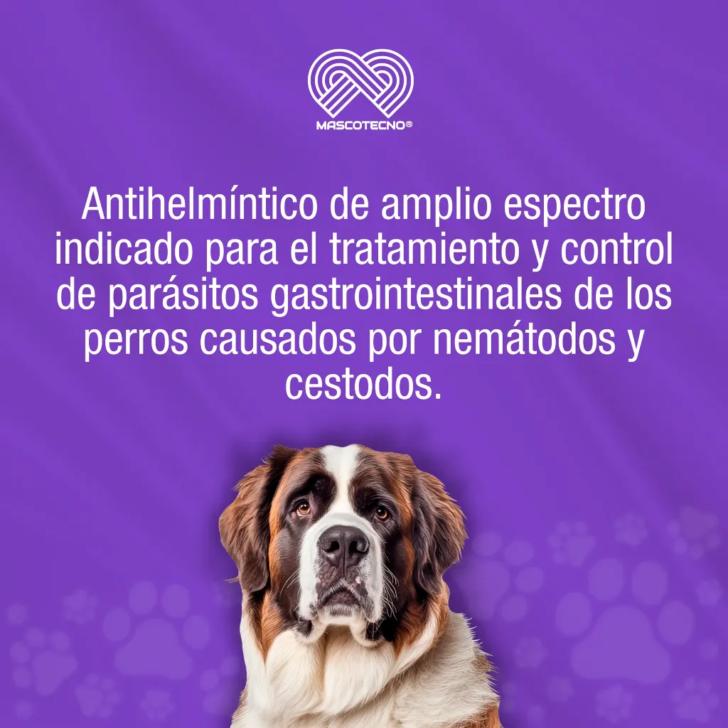 CANNEX_10ML_01.webp