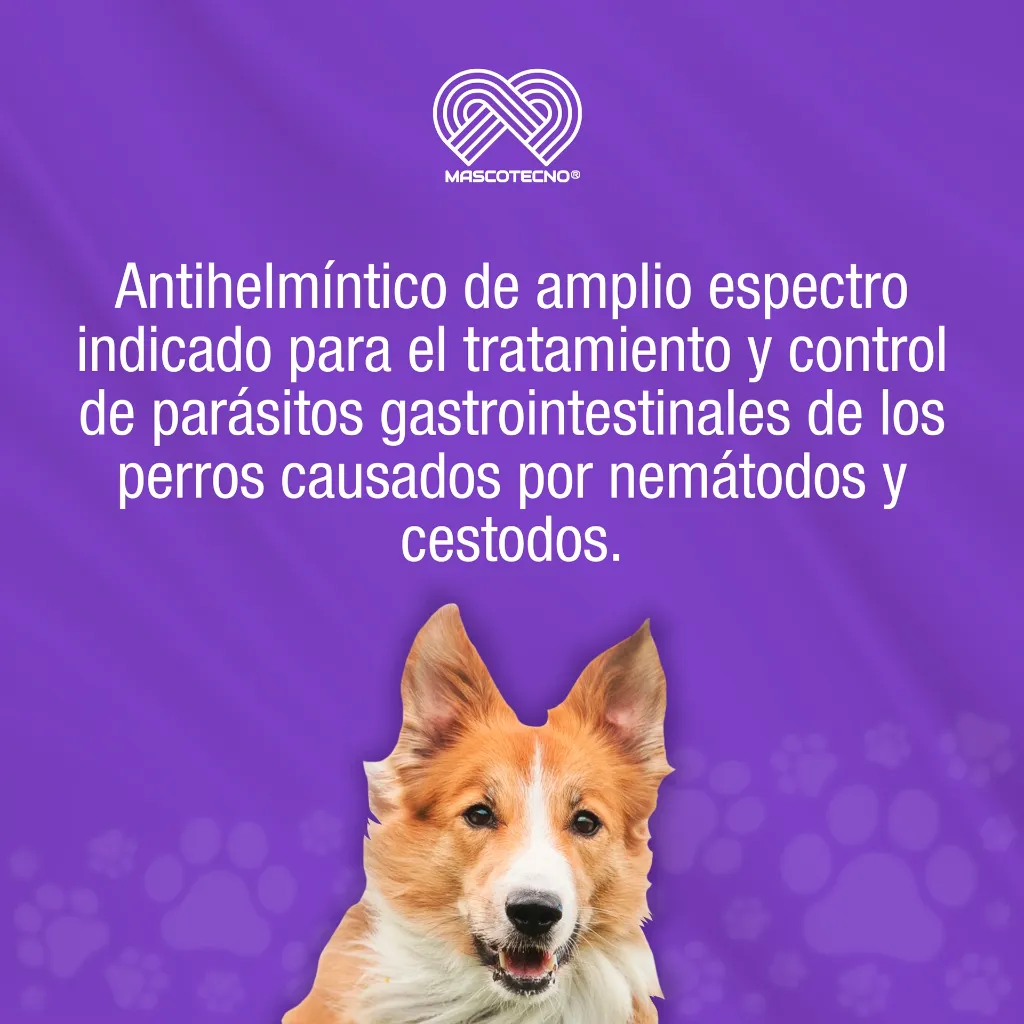 CANNEX_2ML_01.webp