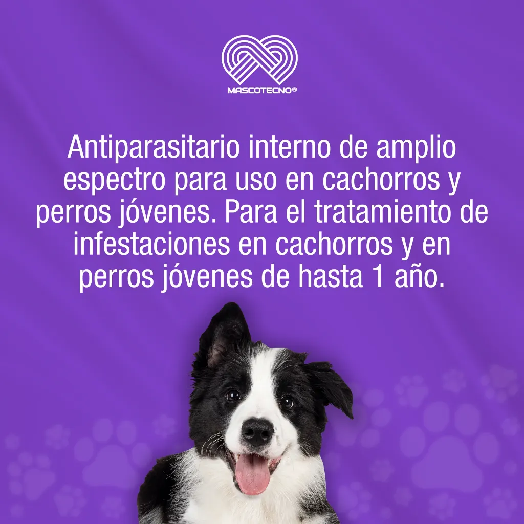 CANNEX_CACHORROS_5ML_01.webp