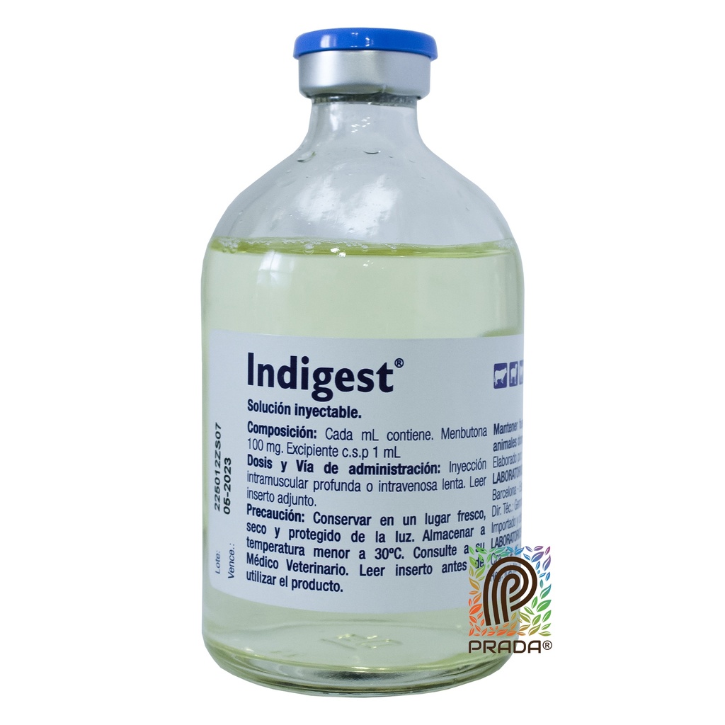 INDIGEST INY X 100 ML