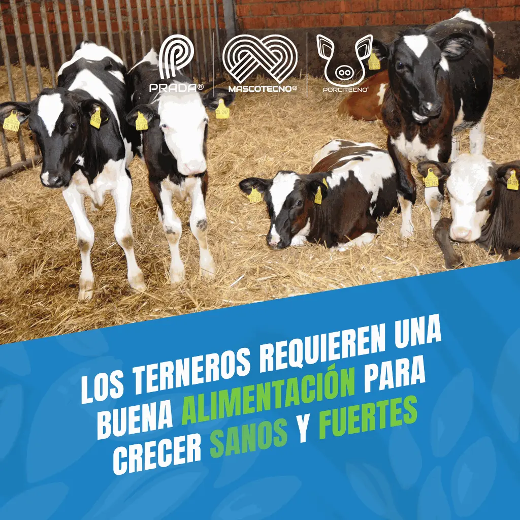 TETERO_TERNERO_2_5LT_02.webp