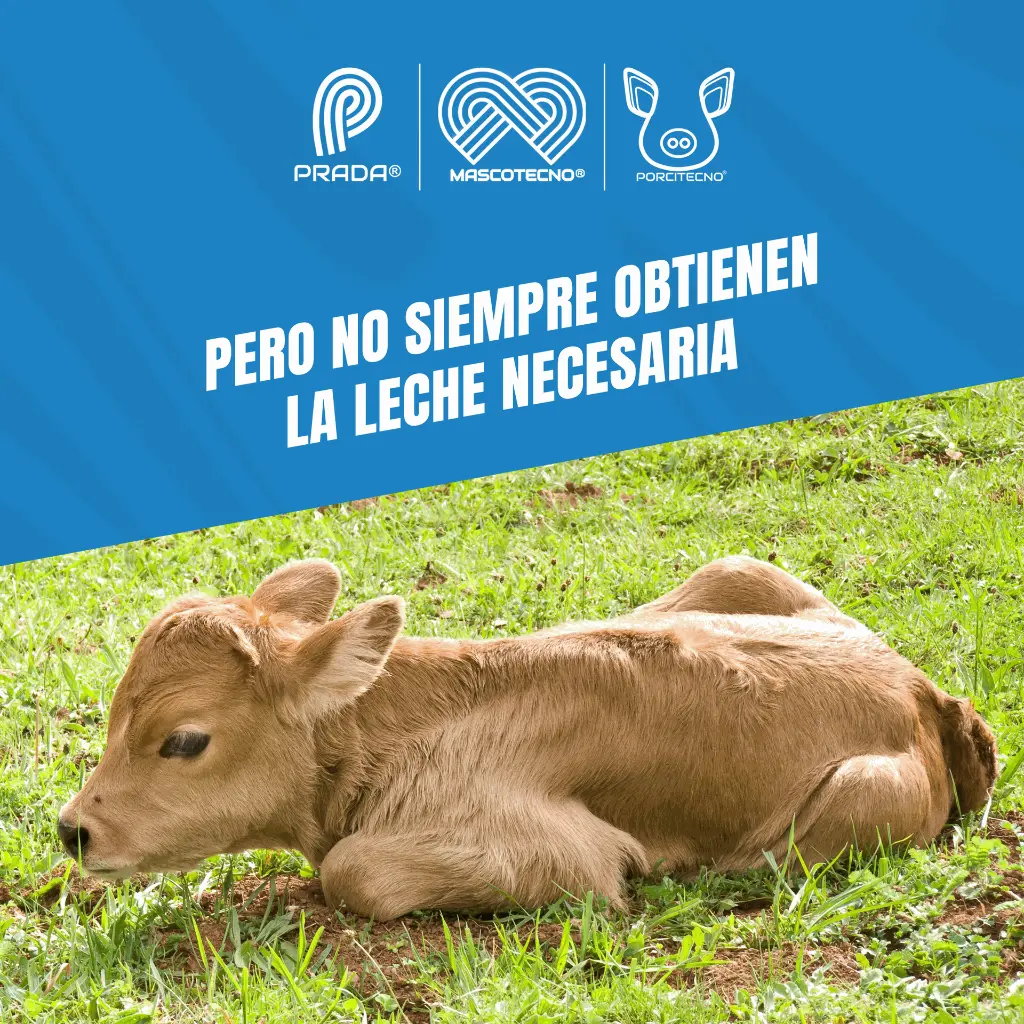 TETERO_TERNERO_2_5LT_03.webp