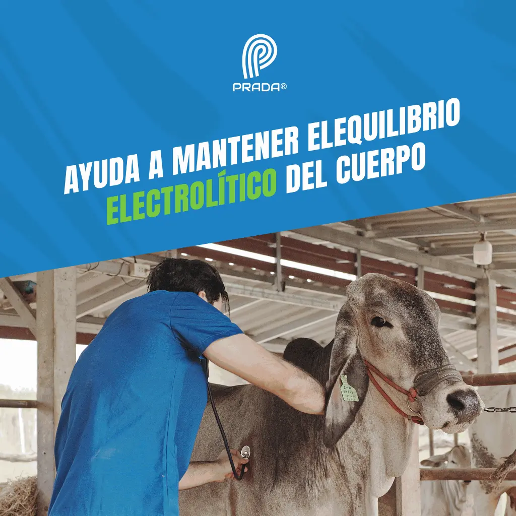 SODIO_CLORURO_0-9_100ML_04.webp
