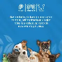 VETERINA_470ML_01.webp