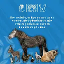 VETERINA_110ML_01.webp