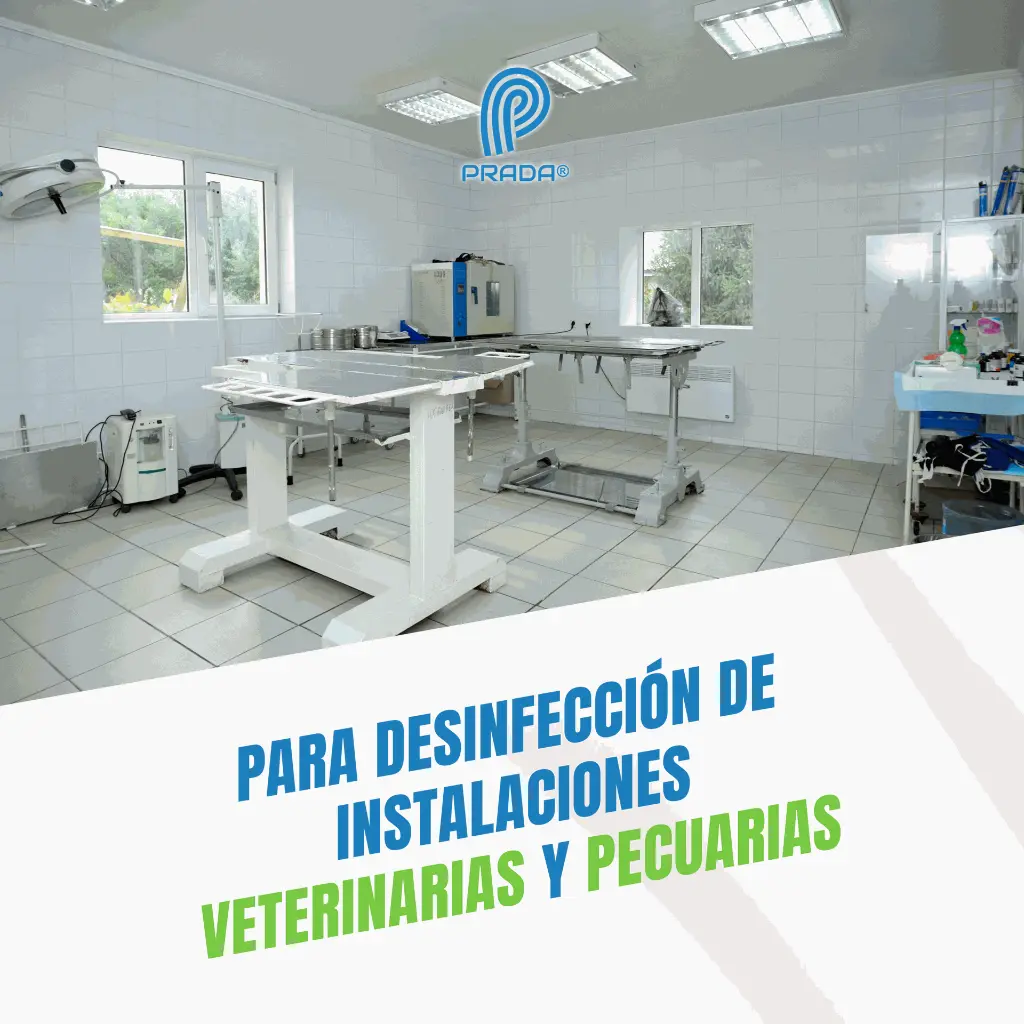 VETERINA_470ML_05.webp