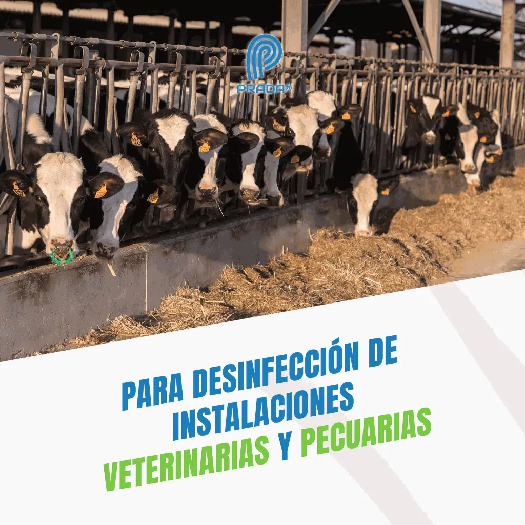 VETERINA_110ML_05.webp