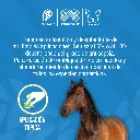 TINTURA_YODO_10%_500ML_01.webp