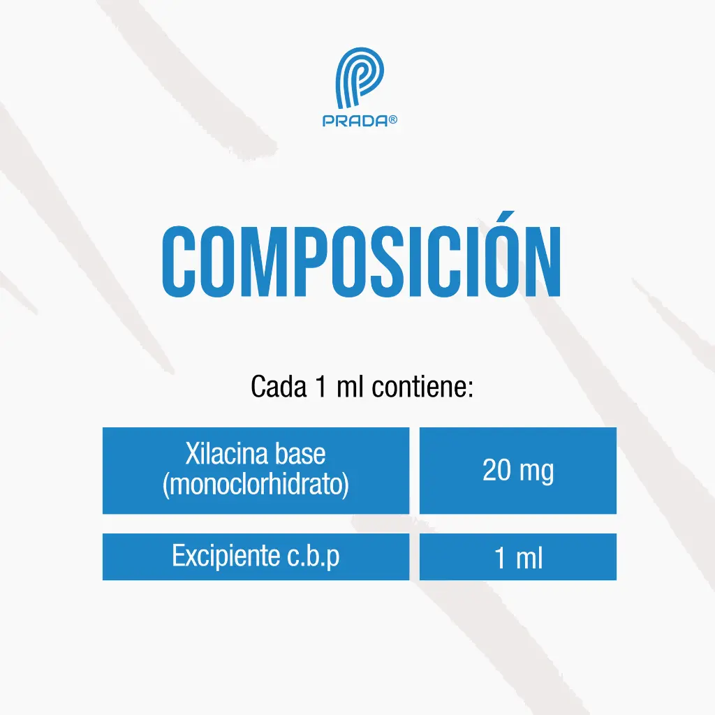 XILASYN_20ML_04.webp