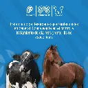 BISMO_PET_1LT_01.webp